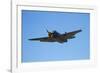 Grumman Avenger, Warbirds over Wanaka, War Plane, New Zealand-David Wall-Framed Photographic Print