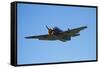 Grumman Avenger, Warbirds over Wanaka, War Plane, New Zealand-David Wall-Framed Stretched Canvas