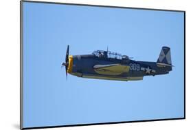 Grumman Avenger, Warbirds over Wanaka, War Plane, New Zealand-David Wall-Mounted Photographic Print