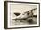 Grumman F3F-2 Marine Fighter Plane-null-Framed Art Print