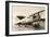 Grumman F3F-2 Marine Fighter Plane-null-Framed Art Print