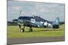 Grumman F6F Hellcat in World War Ii U.S. Navy Colors-Stocktrek Images-Mounted Photographic Print