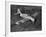 Grumman Martlet 1-null-Framed Photographic Print