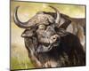 Grumpy Cape Buffalo-Joni Johnson-Godsy-Mounted Giclee Print