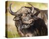 Grumpy Cape Buffalo-Joni Johnson-Godsy-Stretched Canvas