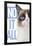 Grumpy Cat - Blue-Trends International-Framed Poster