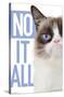 Grumpy Cat - Blue-Trends International-Stretched Canvas