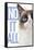 Grumpy Cat - Blue-Trends International-Framed Stretched Canvas