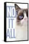 Grumpy Cat - Blue-Trends International-Framed Stretched Canvas