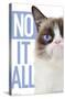 Grumpy Cat - Blue-Trends International-Stretched Canvas