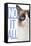 Grumpy Cat - Blue-Trends International-Framed Stretched Canvas