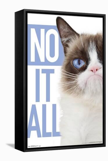 Grumpy Cat - Blue-Trends International-Framed Stretched Canvas