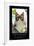 GRUMPY CAT - BRIGHTER SIDE-null-Framed Poster