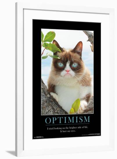 GRUMPY CAT - BRIGHTER SIDE-null-Framed Poster