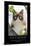 GRUMPY CAT - BRIGHTER SIDE-null-Framed Poster