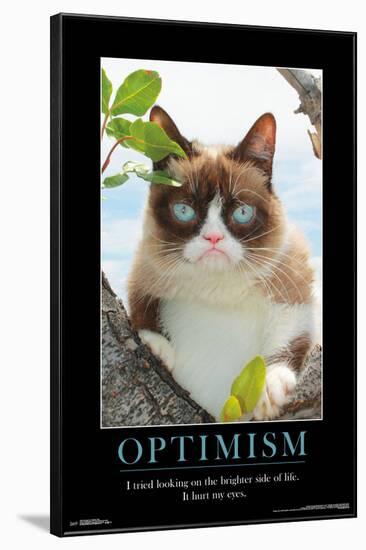 GRUMPY CAT - BRIGHTER SIDE-null-Framed Poster