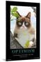 GRUMPY CAT - BRIGHTER SIDE-null-Mounted Poster