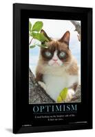 GRUMPY CAT - BRIGHTER SIDE-null-Framed Poster