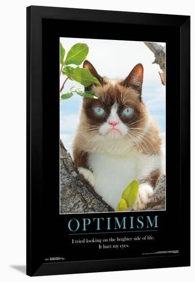 GRUMPY CAT - BRIGHTER SIDE-null-Framed Poster