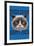 GRUMPY CAT - FACE-null-Framed Poster