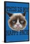 GRUMPY CAT - FACE-null-Framed Poster