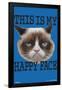 GRUMPY CAT - FACE-null-Framed Poster