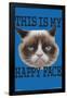 Grumpy Cat - Face-Trends International-Framed Poster