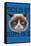 Grumpy Cat - Face-Trends International-Framed Stretched Canvas