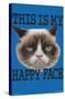 Grumpy Cat - Face-Trends International-Stretched Canvas