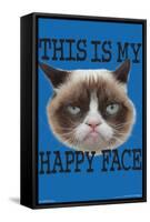 Grumpy Cat - Face-Trends International-Framed Stretched Canvas