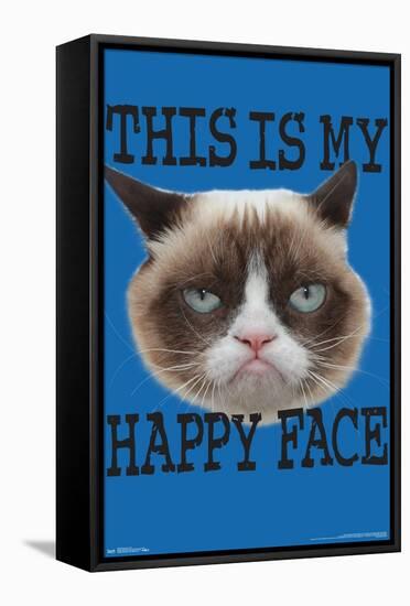 Grumpy Cat - Face-Trends International-Framed Stretched Canvas