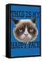 Grumpy Cat - Face-Trends International-Framed Stretched Canvas