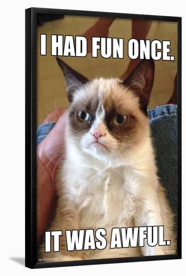 Grumpy Cat - Fun-Trends International-Framed Poster