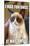 Grumpy Cat - Fun-Trends International-Mounted Poster