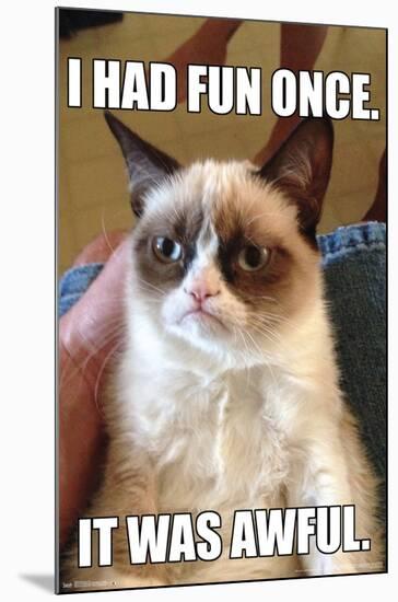 Grumpy Cat - Fun-Trends International-Mounted Poster