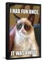 Grumpy Cat - Fun-Trends International-Framed Poster