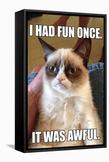 Grumpy Cat - Fun-Trends International-Framed Stretched Canvas