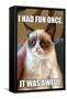 Grumpy Cat - Fun-Trends International-Framed Stretched Canvas