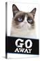 Grumpy Cat - Go Away-Trends International-Stretched Canvas
