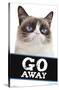 Grumpy Cat - Go Away-Trends International-Stretched Canvas