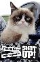 Grumpy Cat - Shut Up-null-Lamina Framed Poster