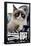 Grumpy Cat - Shut Up-Trends International-Framed Poster