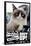 Grumpy Cat - Shut Up-Trends International-Framed Poster