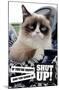 Grumpy Cat - Shut Up-Trends International-Mounted Poster
