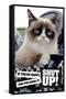Grumpy Cat - Shut Up-Trends International-Framed Stretched Canvas