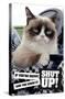 Grumpy Cat - Shut Up-Trends International-Stretched Canvas