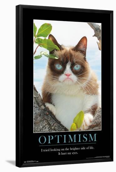 Grumpy Cat - The Brighter Side-Trends International-Framed Poster