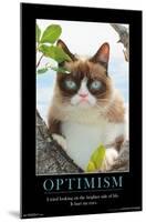 Grumpy Cat - The Brighter Side-Trends International-Mounted Poster