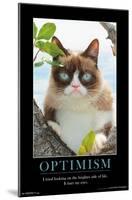 Grumpy Cat - The Brighter Side-Trends International-Mounted Poster