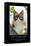 Grumpy Cat - The Brighter Side-Trends International-Framed Stretched Canvas